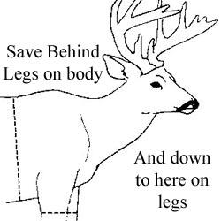 A note from me to you From the bottom of my heart—thank you for being here. It means the world to me that you're considering trusting Cold Shoulder Taxidermy with something as personal and meaningful as your trophy. I don’t take that lightly. Your piece is special. Whether it